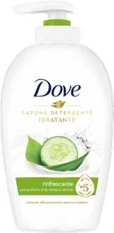 DOVE SAP.LIQ.250 ML GO-FRESH