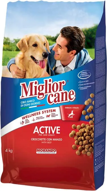 PET M.CANE CROC.4KG ACTIVE MAN