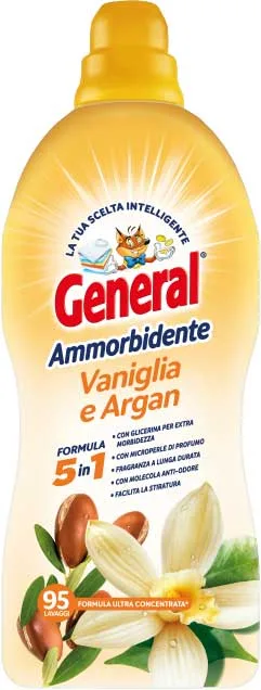 GENERAL AMM.CONC 95LAV VANIGLI